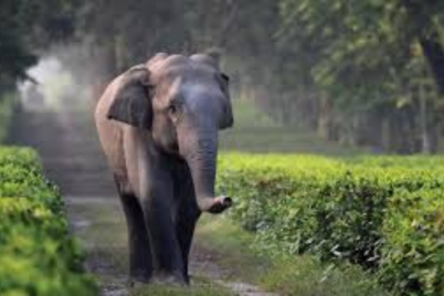 Untitled-design108.png