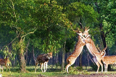 Untitled-design1493.png