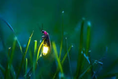 Untitled-design343.png