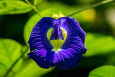 Untitled-design649-1.png