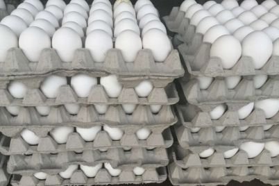egg.jpg