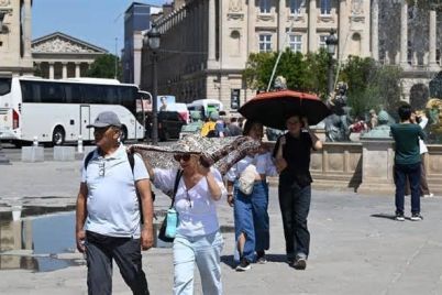 images-21.jpg