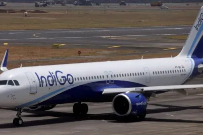 indigo-1764854838-e1764937345150.webp