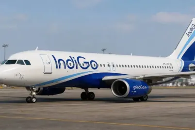 indigo.jpg.webp