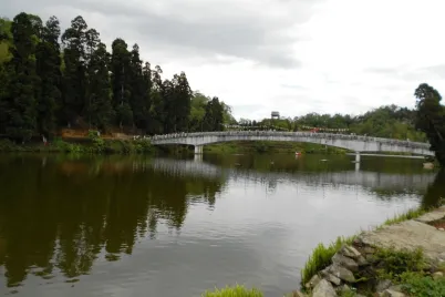 mirik.webp