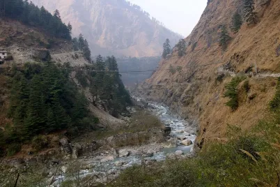 narayani.webp