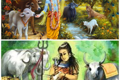 photo-collage-1.png-9-1.png