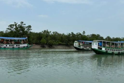 sunderban-1.png