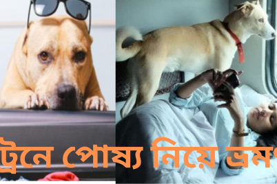 ট্রেনে-পোষ্য-নিয়ে-ভ্রমণ.png
