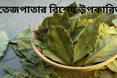 তেজপাতার-বিশেষ-উপকারিতে.png