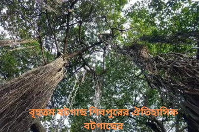 বৃহত্তম-বটগাছ-শিবপুরের-ঐতিহাসিক-বটগাছের.png